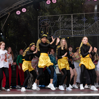 galleries/WellXmas2020/Performers10/thumbs/th_welly-2-2.jpg