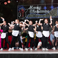 galleries/WellXmas2020/Performers10/thumbs/th_welly-2-61.jpg
