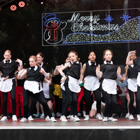 galleries/WellXmas2020/Performers10/thumbs/th_welly-2-63.jpg
