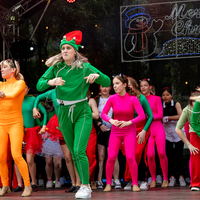 galleries/WellXmas2020/Performers10/thumbs/th_welly-2-80.jpg