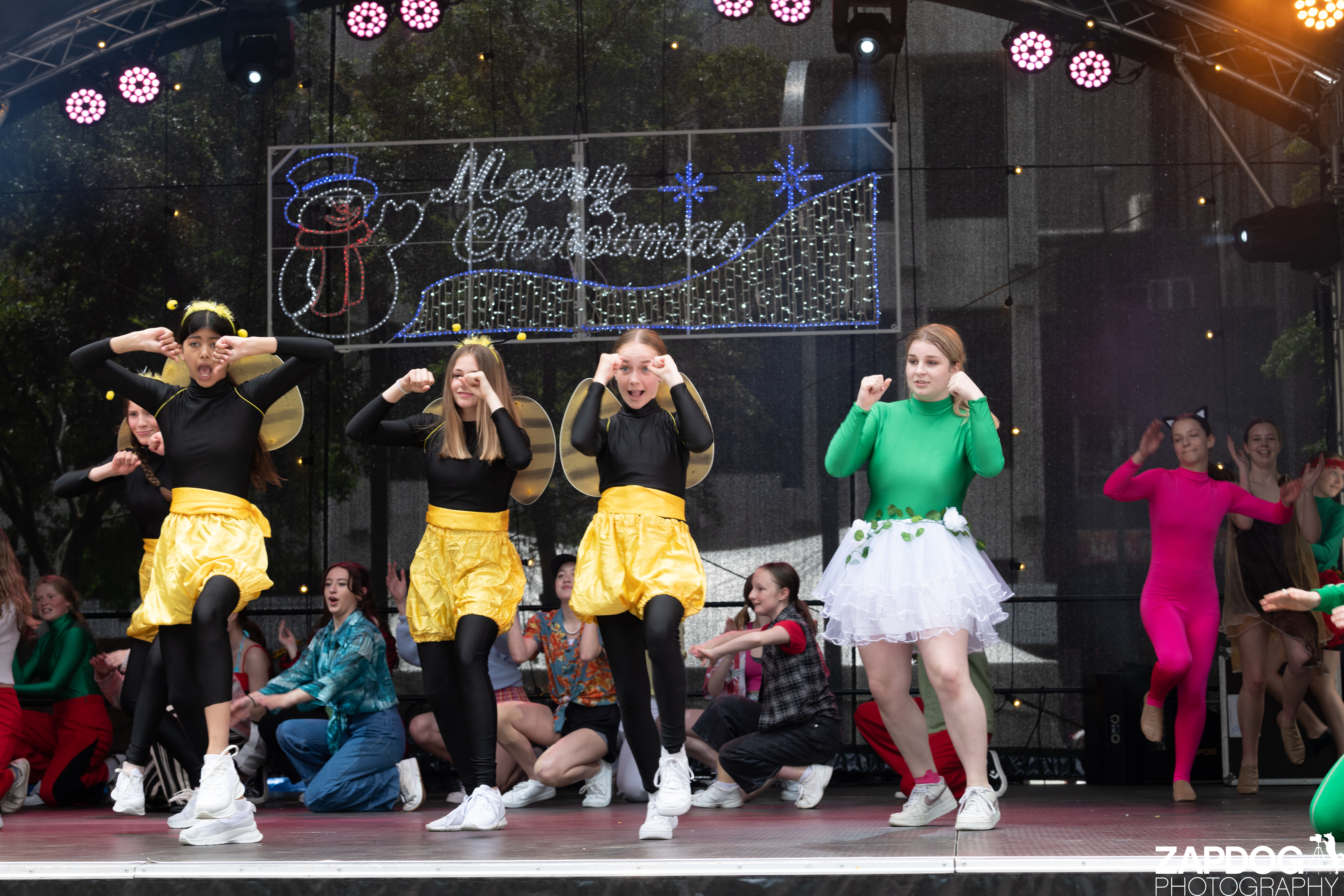 galleries/WellXmas2020/Performers10/welly-2-12.jpg