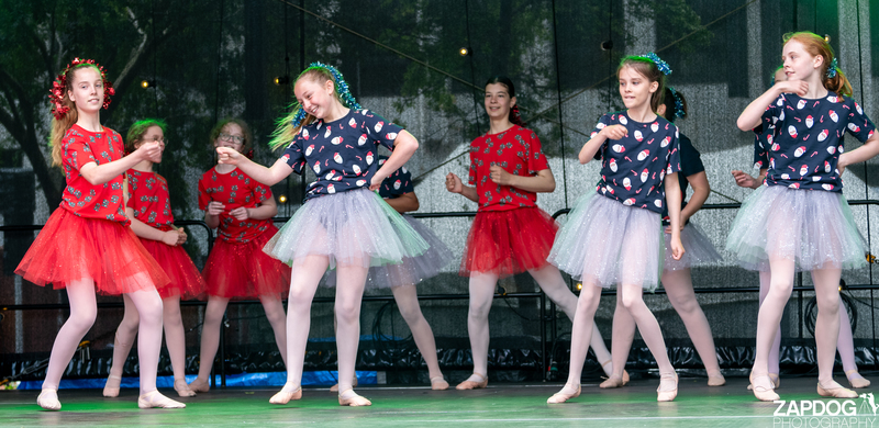 galleries/WellXmas2020/Performers11/mid/mid_welly-2-39.jpg