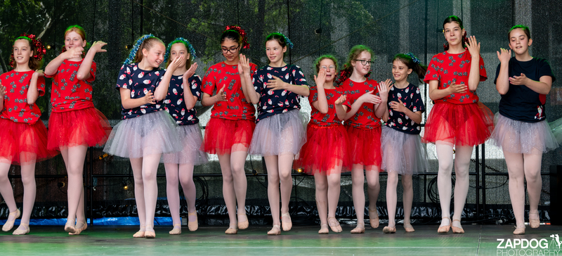 galleries/WellXmas2020/Performers11/mid/mid_welly-2-48.jpg
