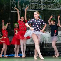 galleries/WellXmas2020/Performers11/thumbs/th_welly-2-19.jpg