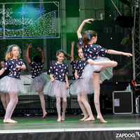 galleries/WellXmas2020/Performers11/thumbs/th_welly-2-37.jpg