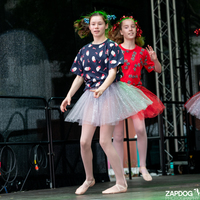 galleries/WellXmas2020/Performers11/thumbs/th_welly-2-40.jpg