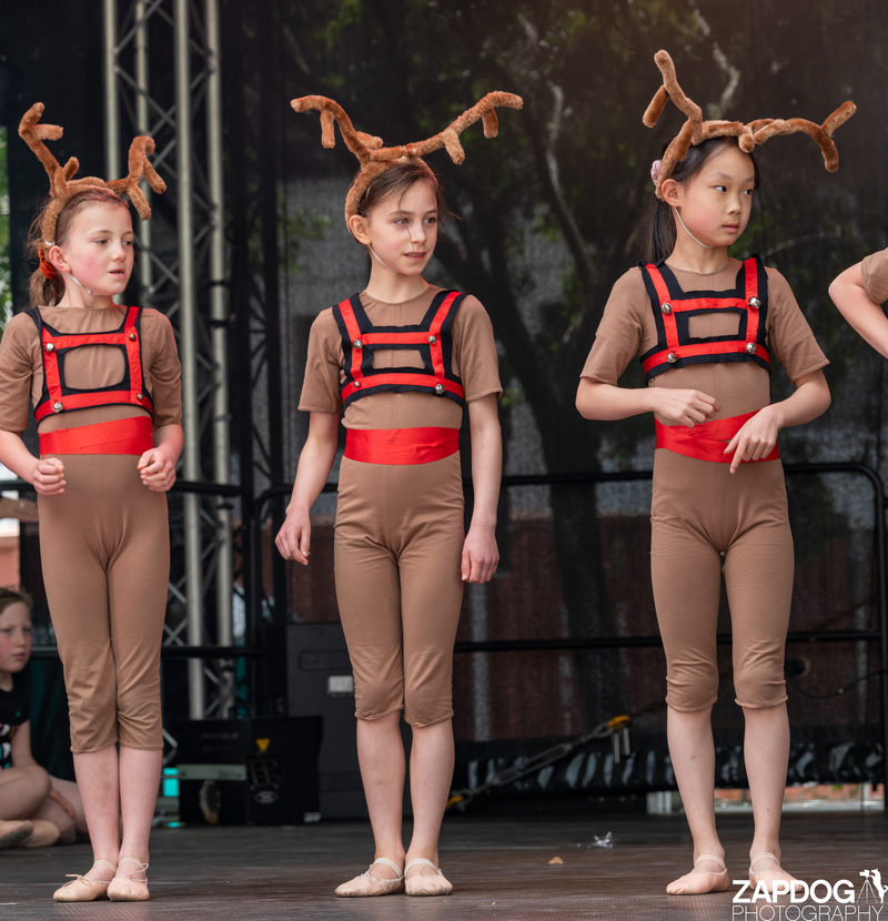 galleries/WellXmas2020/Performers16/mid/mid_welly2020-performers-5858-2.jpg