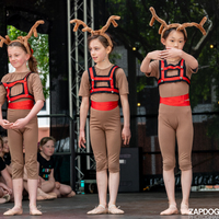 galleries/WellXmas2020/Performers16/thumbs/th_welly2020-performers-5791-2.jpg