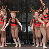 galleries/WellXmas2020/Performers16/thumbs/th_welly2020-performers-5814-2.jpg