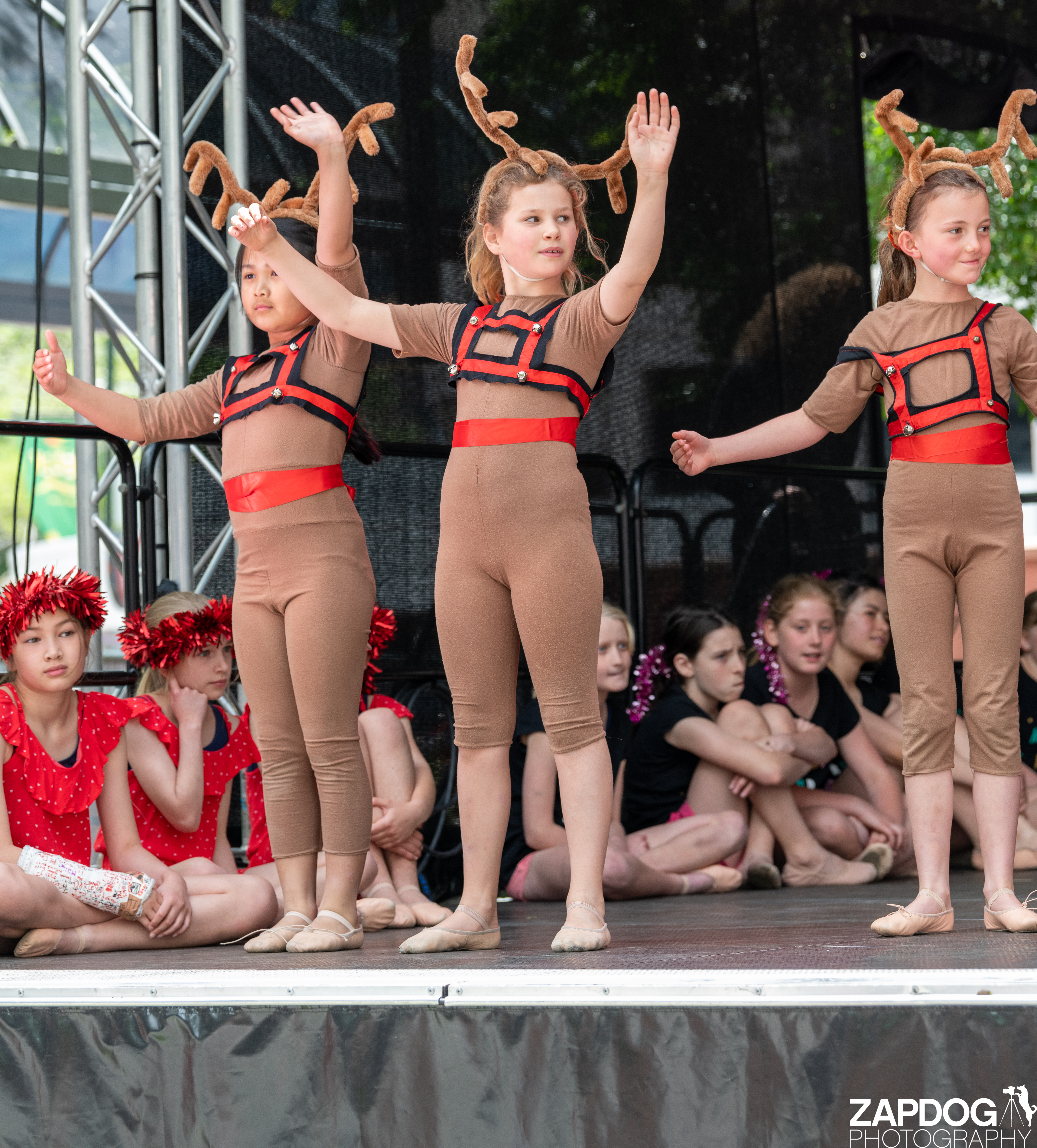galleries/WellXmas2020/Performers16/welly2020-performers-5795-2.jpg