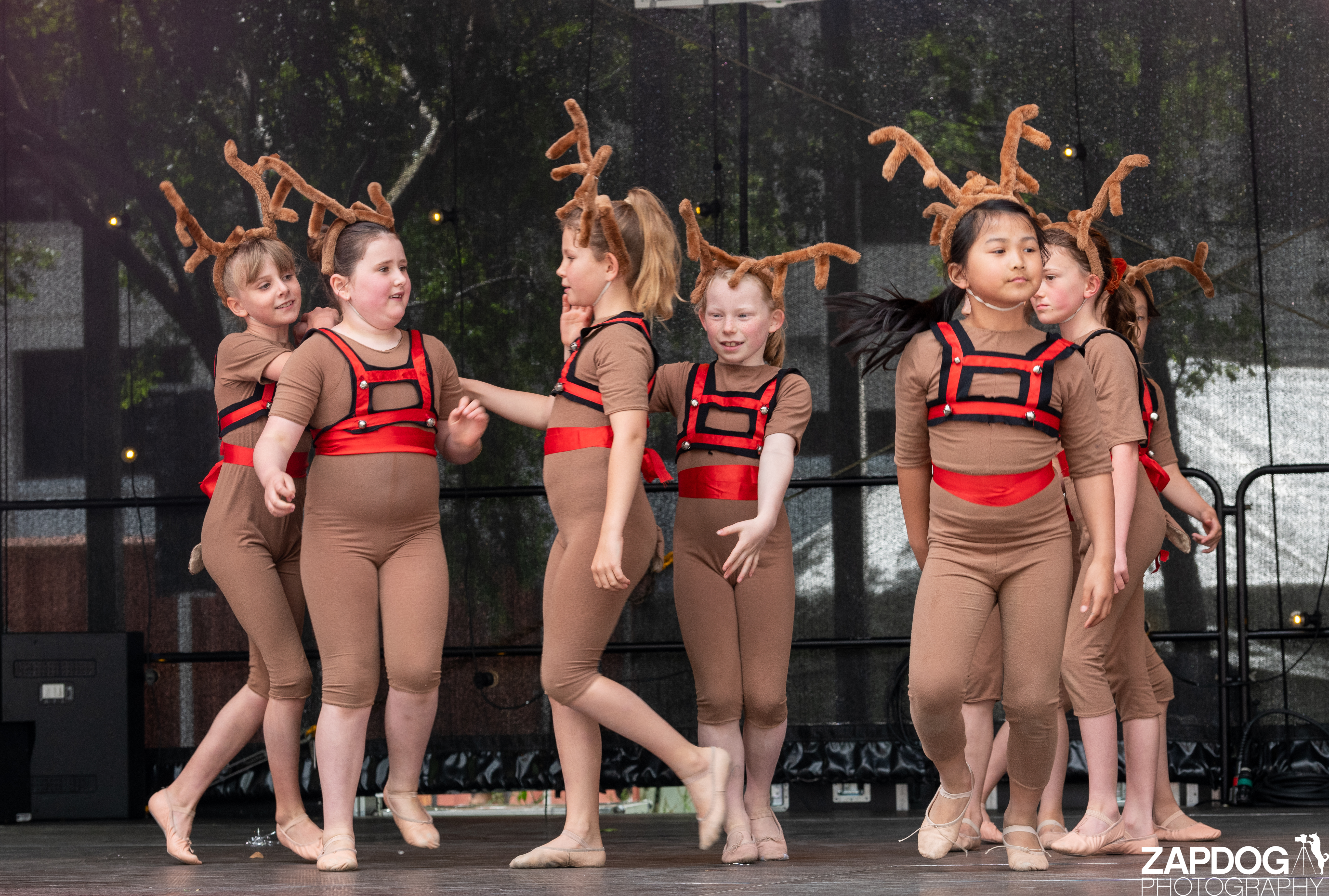 galleries/WellXmas2020/Performers16/welly2020-performers-5812-2.jpg