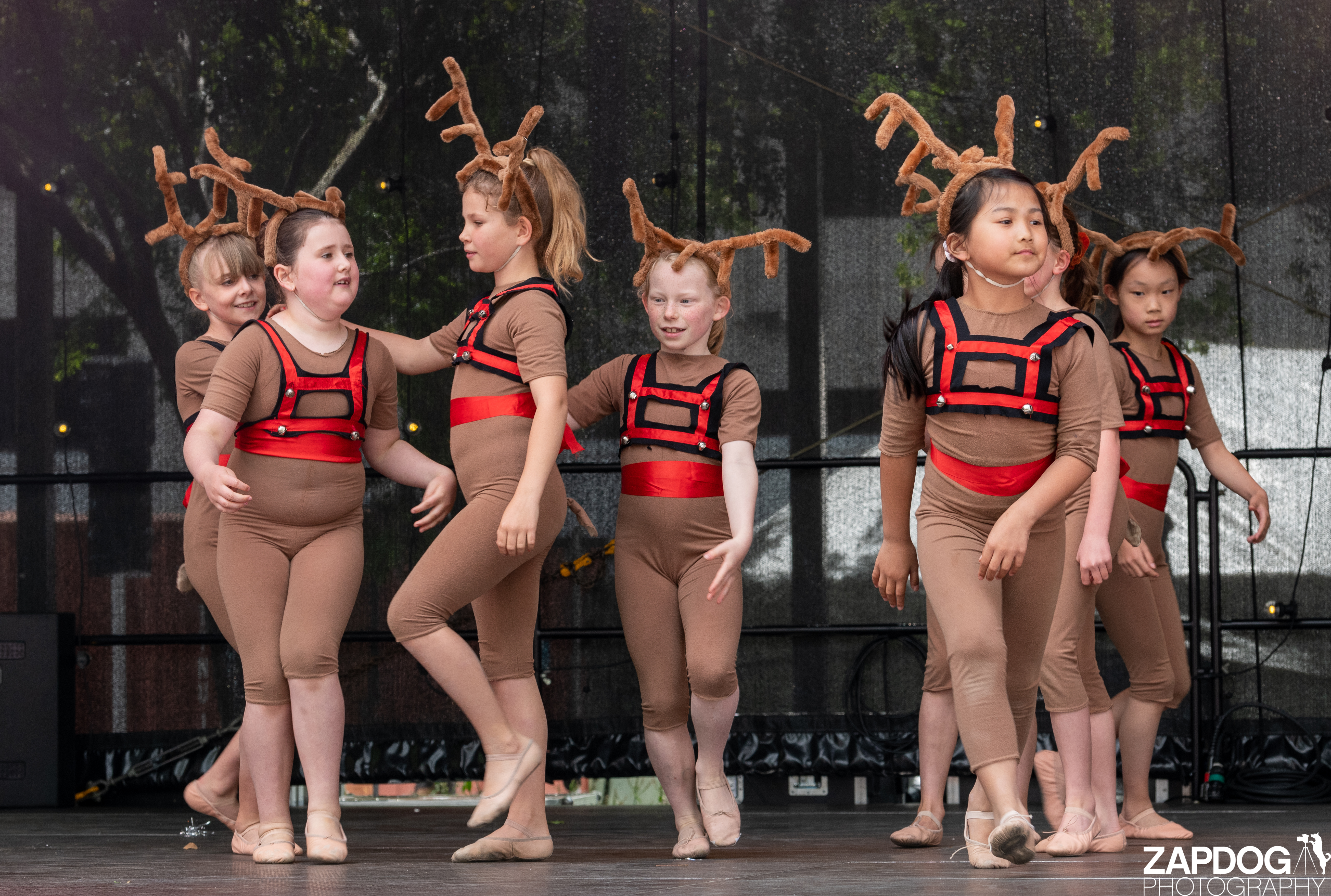 galleries/WellXmas2020/Performers16/welly2020-performers-5813-2.jpg