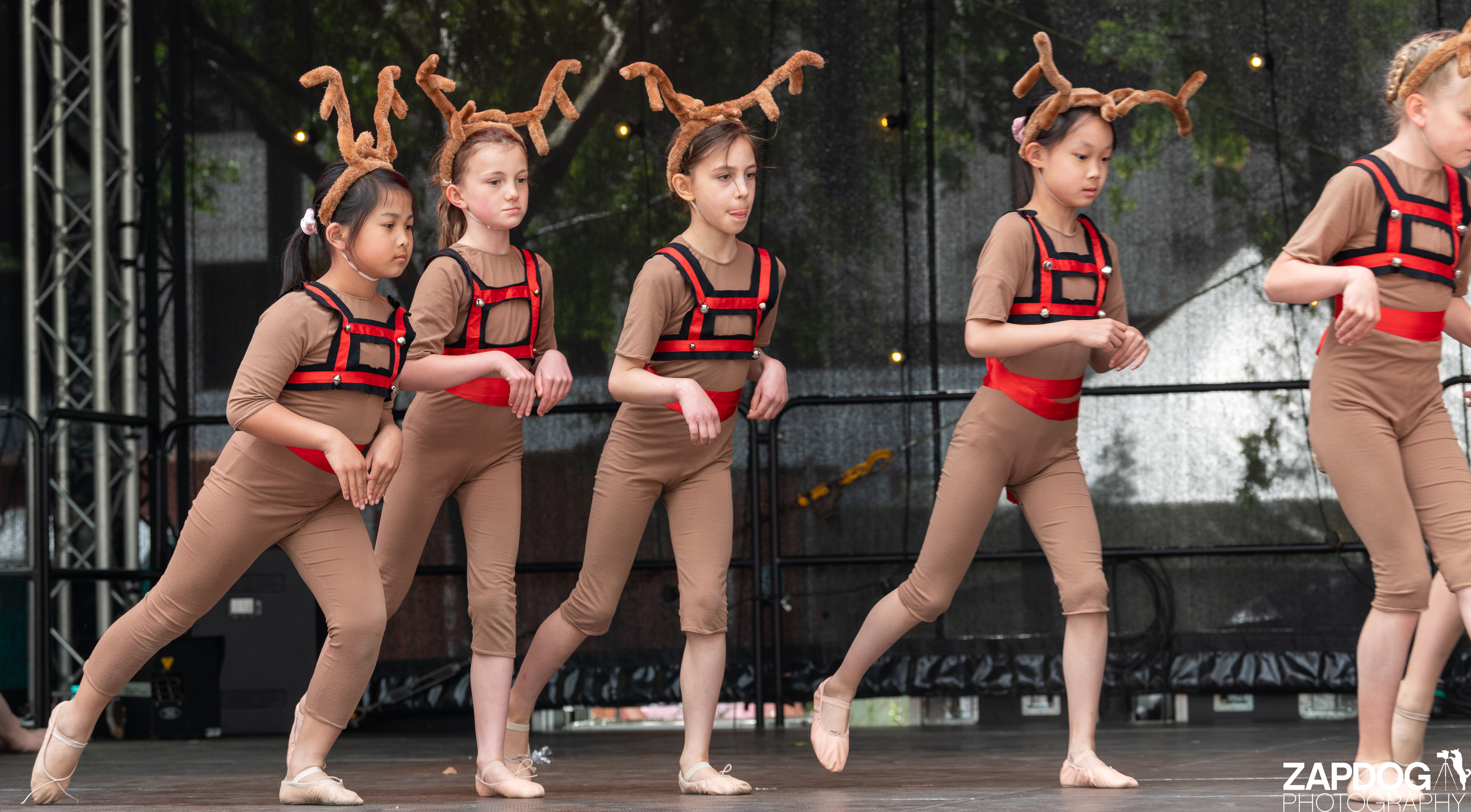 galleries/WellXmas2020/Performers16/welly2020-performers-5885-2.jpg