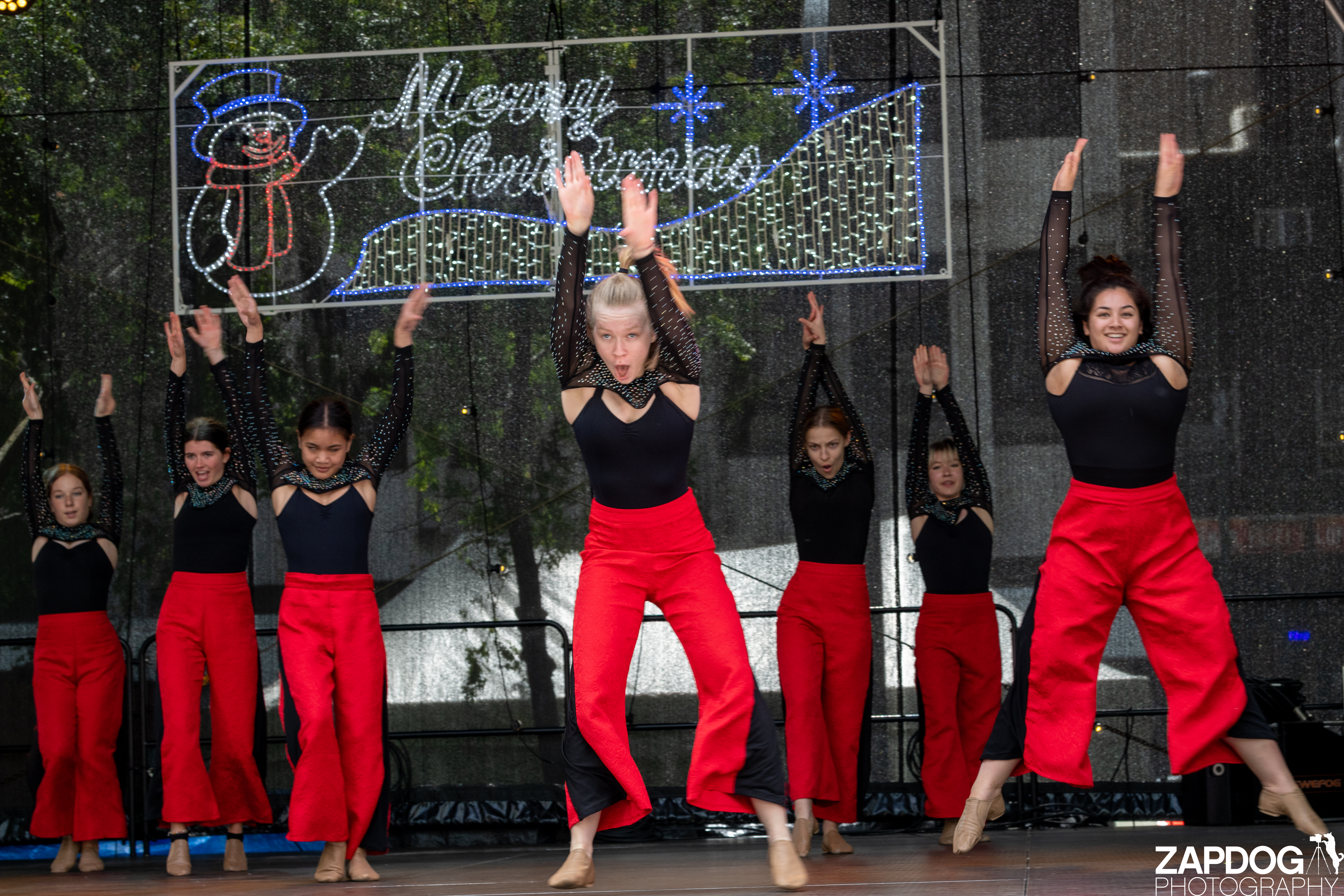 galleries/WellXmas2020/Performers2/welly2020-performers-3930-2.jpg