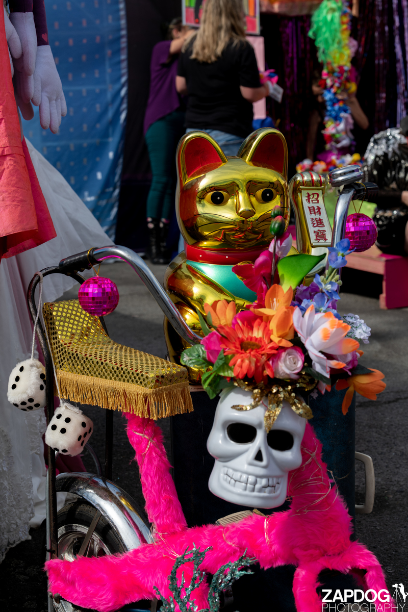 galleries/cubadupa21/mid/mid_CubaDupa21-149.jpg