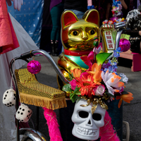 galleries/cubadupa21/thumbs/th_CubaDupa21-149.jpg