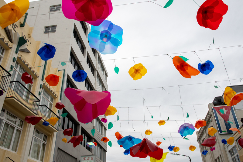galleries/cubadupa24/saturday/mid/mid_cubadupa24-sat-1021.jpg