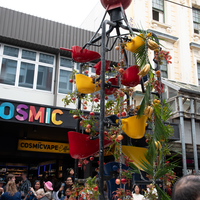 galleries/cubadupa24/saturday/thumbs/th_cubadupa24-sat-1043.jpg