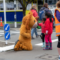 Hit refresh if image not shown