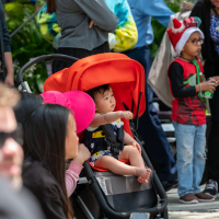 Hit refresh if image not shown