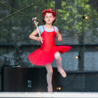 Hit refresh if image not shown