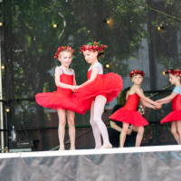 Hit refresh if image not shown