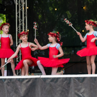 Hit refresh if image not shown