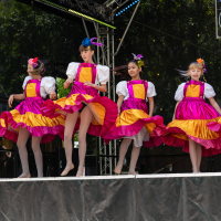 Hit refresh if image not shown