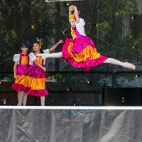 Hit refresh if image not shown