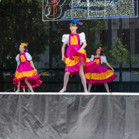 Hit refresh if image not shown