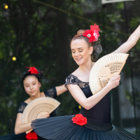 Hit refresh if image not shown