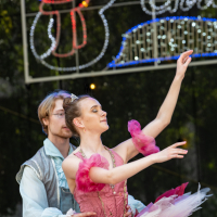 Hit refresh if image not shown