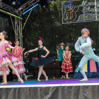 Hit refresh if image not shown