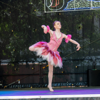 Hit refresh if image not shown