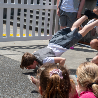 Hit refresh if image not shown