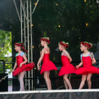 Hit refresh if image not shown