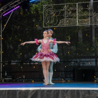 Hit refresh if image not shown