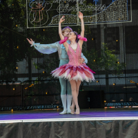 Hit refresh if image not shown