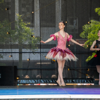 Hit refresh if image not shown