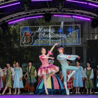 Hit refresh if image not shown