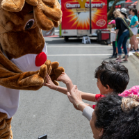 Hit refresh if image not shown