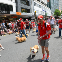 Hit refresh if image not shown