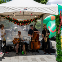 Hit refresh if image not shown