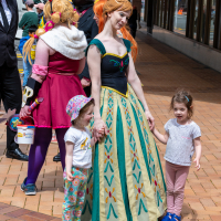 Hit refresh if image not shown