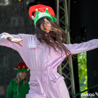 Hit refresh if image not shown