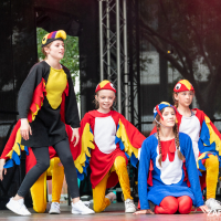 Hit refresh if image not shown