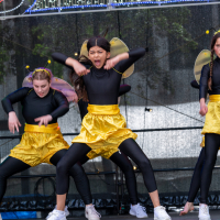 Hit refresh if image not shown