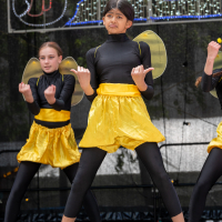 Hit refresh if image not shown