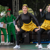 Hit refresh if image not shown