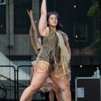 Hit refresh if image not shown